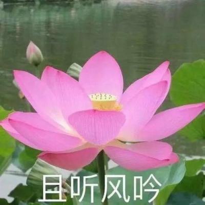 幻影骑士团2手机版下载